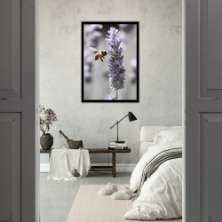 Wandbild 'Lavendel in Schwarz Weiß'