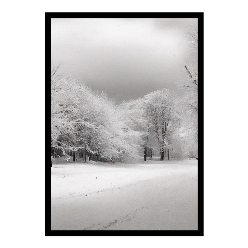 Wandbild 'Schnee in Schwarz Weiß'