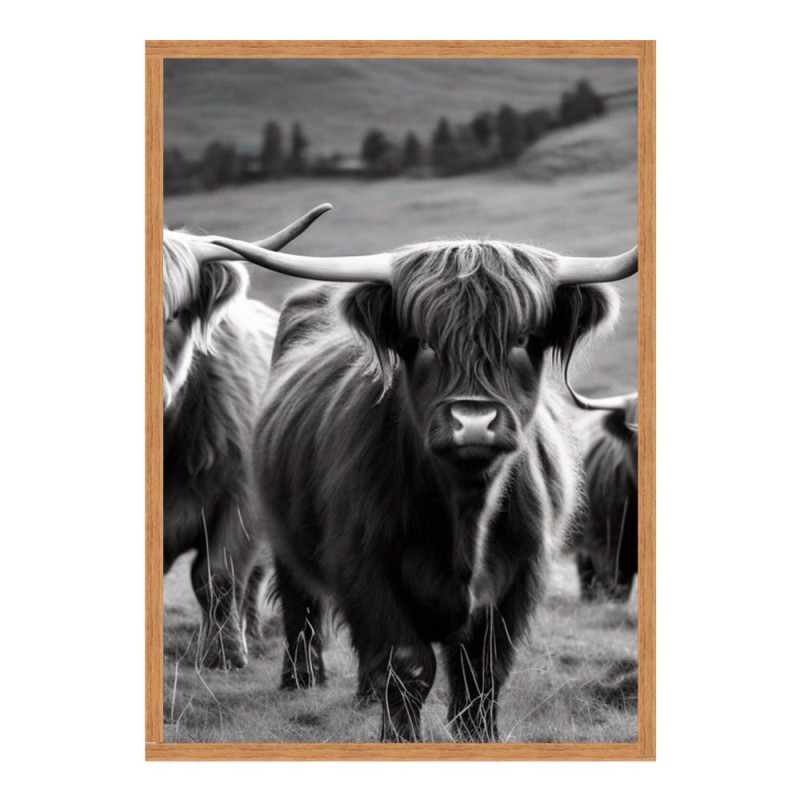 Wandbild 'Hochlandrind in Schwarz Weiß'