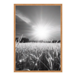 Wandbild 'Die Sonne über dem Feld '