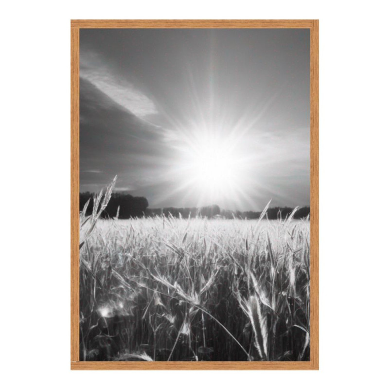 Wandbild 'Die Sonne über dem Feld '