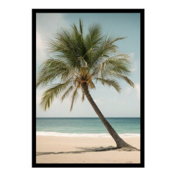 Wandbild 'Die einsame Palme am Strand'