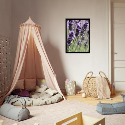 Wandbild 'Lavendel in Nahaufnahme'