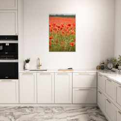 Wandbild 'Mohn im Feld'