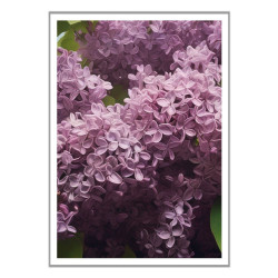 Wandbild 'Der schöne Flieder'