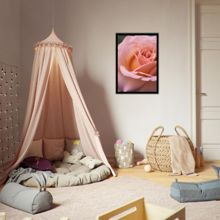 Wandbild 'Die Pracht der Rose'