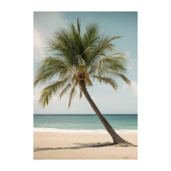 Wandbild 'Die einsame Palme am Strand'